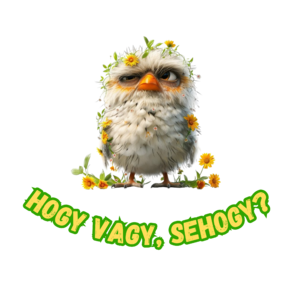 Hogy vagy, sehogy?